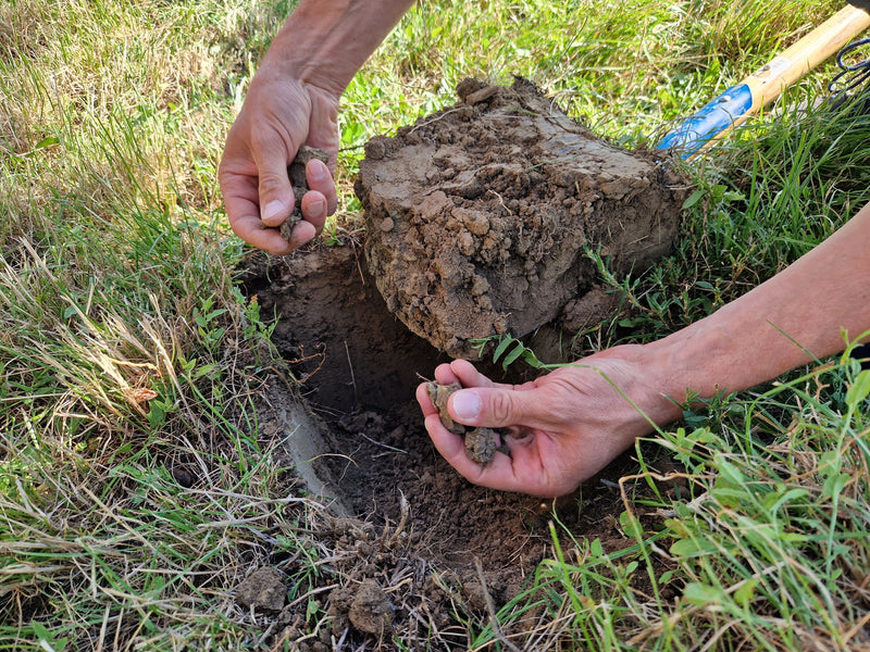 In Field Tests for a regenerative future - Bodenproben für eine regenerative Zukunft